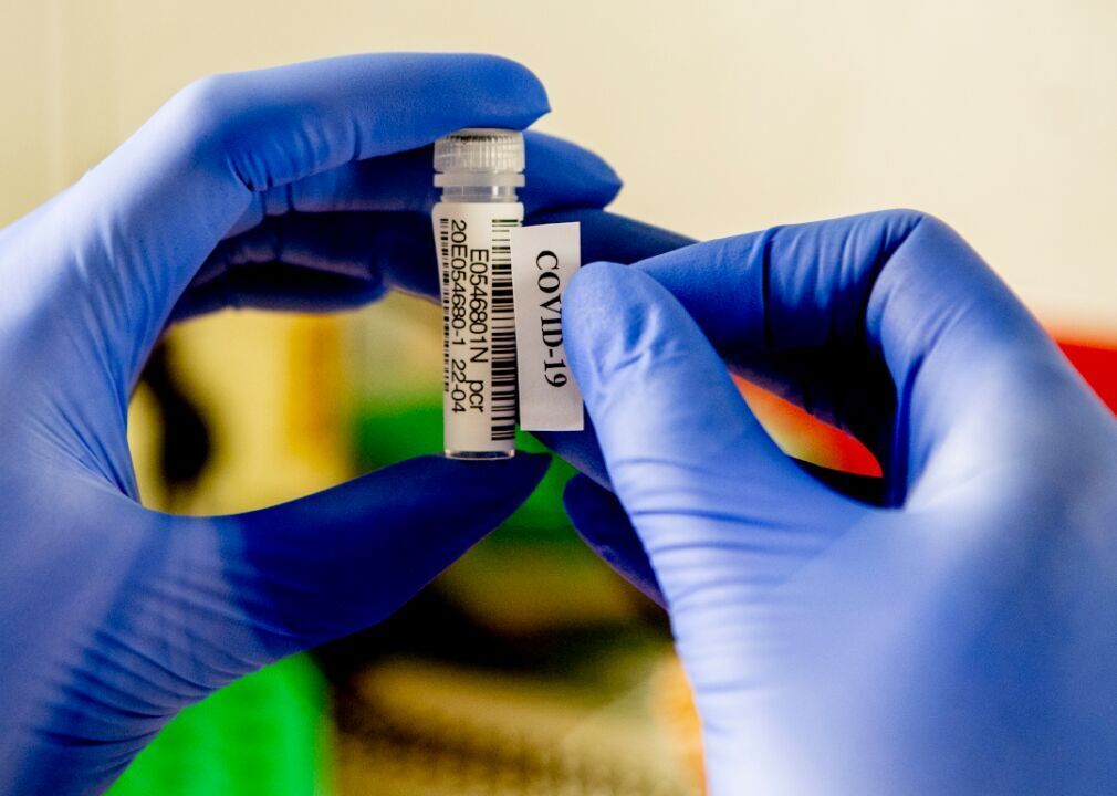 Human expansion and pandemics